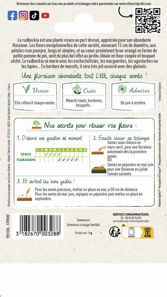 Fleurs - Rudbeckia Pourpre Magnus - MEDIA_PACKAGING_VERSO